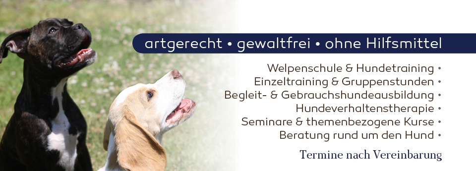 Leistungen der Hundeschule Franklin & DOGS aus Essen.